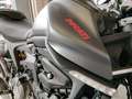 Ducati Monster 900 MONSTER PLUS AVIATOR GRAY Gris - thumbnail 14