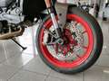 Ducati Monster 900 MONSTER PLUS AVIATOR GRAY Gris - thumbnail 9