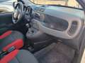 Fiat Panda 1.3 MJT 95 CV S&S 4x4 Blanc - thumbnail 6