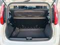 Fiat Panda 1.3 MJT 95 CV S&S 4x4 Blanc - thumbnail 15