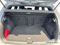 Volkswagen Golf VIII Edition 50 Jahre 1.5 eTSI DSG 150PS Grau - thumbnail 14