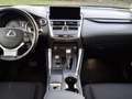 Lexus NX 300h 2.5 Hybrid 4WD Executive Gri - thumbnail 9