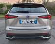 Lexus NX 300h 2.5 Hybrid 4WD Executive Gri - thumbnail 6