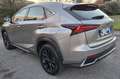 Lexus NX 300h 2.5 Hybrid 4WD Executive Gri - thumbnail 7