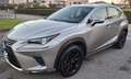 Lexus NX 300h 2.5 Hybrid 4WD Executive Gri - thumbnail 1