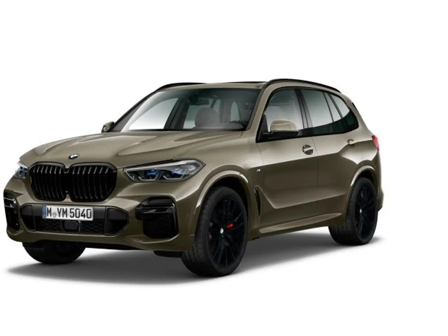 BMW X5 xDrive40d M Sportpaket AHK Head Up Panorama-G Grau - 1