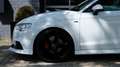 Audi A3 Limousine 1.6 TDI Pro Line Plus | RS3 / S3 uitgevo Weiß - thumbnail 17