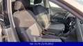 SEAT Toledo Reference Salsa-Pdc-Sitzheiz,AHK,Klima Beige - thumbnail 15