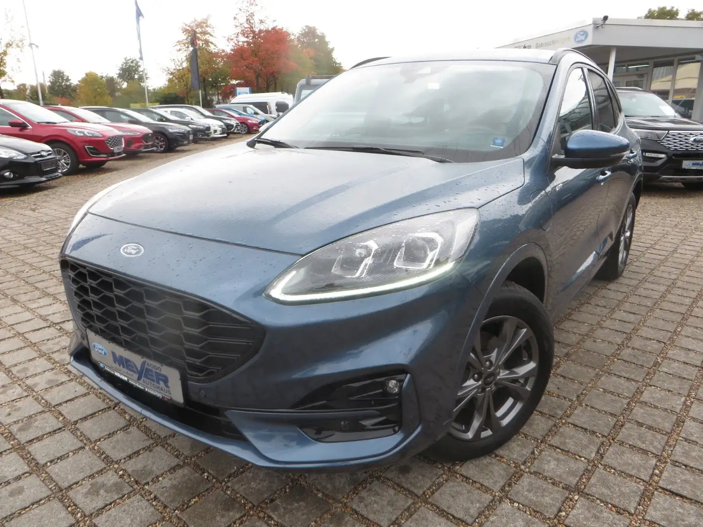 Ford Kuga Plug-In Hybrid ST-Line, Anhängerkupplung Blauw - 1