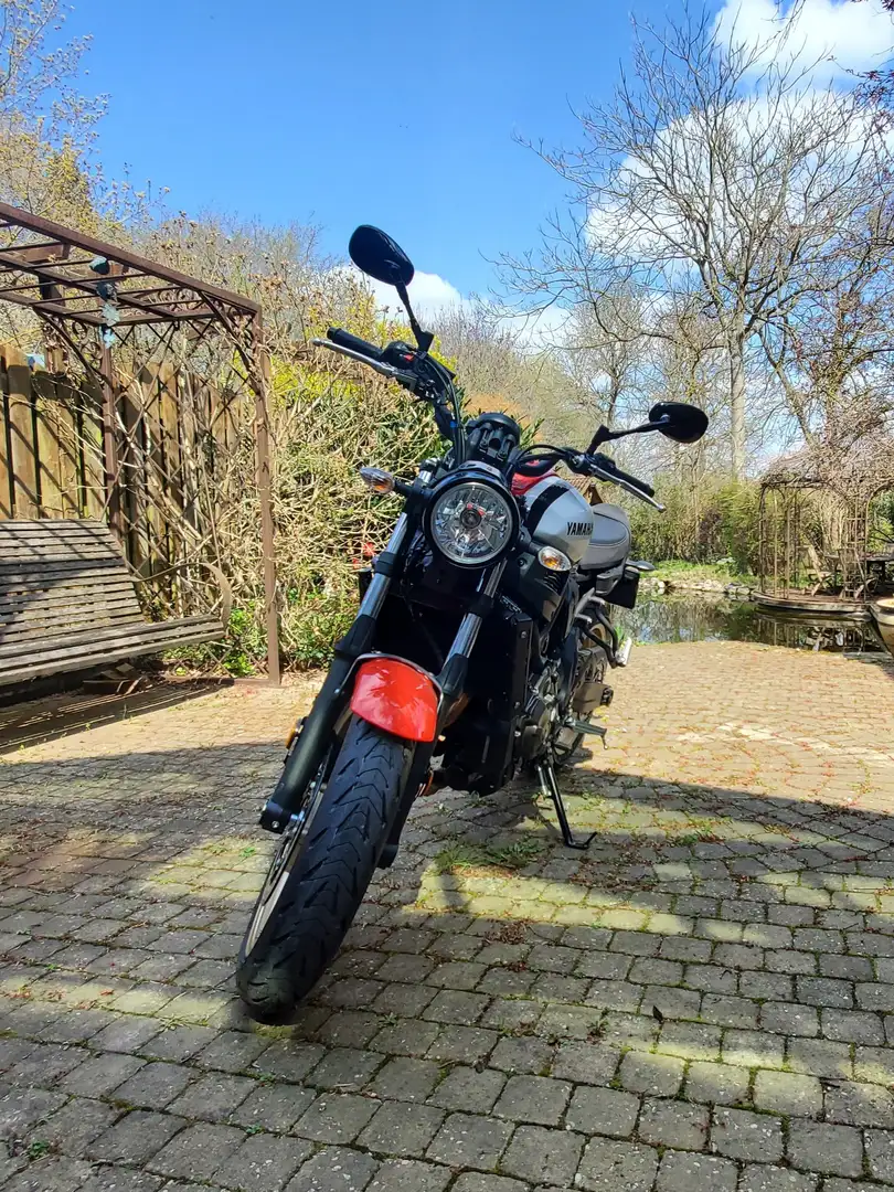 Yamaha XSR 700 2021 Rouge - 2