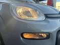 Fiat Panda Hybrid 1.0 Gse 51kw (70CV) City Life Gris - thumbnail 17