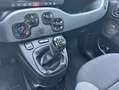 Fiat Panda Hybrid 1.0 Gse 51kw (70CV) City Life Gris - thumbnail 15