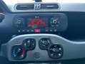 Fiat Panda Hybrid 1.0 Gse 51kw (70CV) City Life Gris - thumbnail 18