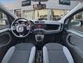 Fiat Panda Hybrid 1.0 Gse 51kw (70CV) City Life Gris - thumbnail 9
