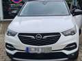 Opel Grandland X 1.2 Start/Stop Design Line Weiß - thumbnail 6