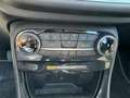 Ford Puma 1.0 EcoBoost Hybrid Titanium 125pk | Comfort pakke Gris - thumbnail 14