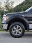 Ford F 150 F-150 *5.0_V8* Pickerl bis 03_2027* Schwarz - thumbnail 6