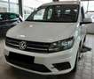 Volkswagen Caddy 1.4 TGI DSG Trendline Maxi Bianco - thumbnail 6