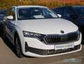 Skoda Octavia Combi 1.5 TSI Essence DSG AHK Smart Link Weiß - thumbnail 2