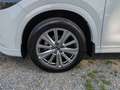 Mazda CX-5 2.5 e-SKYACTIV-G 194 PS-Takumi-Schiebedach Blanc - thumbnail 10