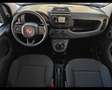 Fiat Panda 1.0 firefly hybrid s&s 70cv 5p.ti Nero - thumbnail 10
