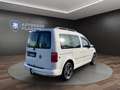 Volkswagen Caddy PKW 2.0 TDI Trendline BMT Klima Einparkhilfe Weiß - thumbnail 5