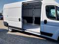 Citroen Jumper KW L3H2 3.3T  Diesel 140 Manuell Weiß - thumbnail 15