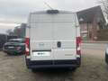Opel Movano Cargo L2 H2 Navi,RFK,Parkpilot... Bianco - thumbnail 5
