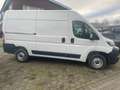 Opel Movano Cargo L2 H2 Navi,RFK,Parkpilot... Bianco - thumbnail 3