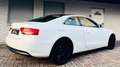 Audi A5 2.0 TFSI Xenon Sitzheizung Sportsitze Euro5 Weiß - thumbnail 10