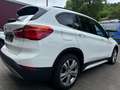 BMW X1 xDrive18d Sport Line NAVI/Bi-XENON Wit - thumbnail 6
