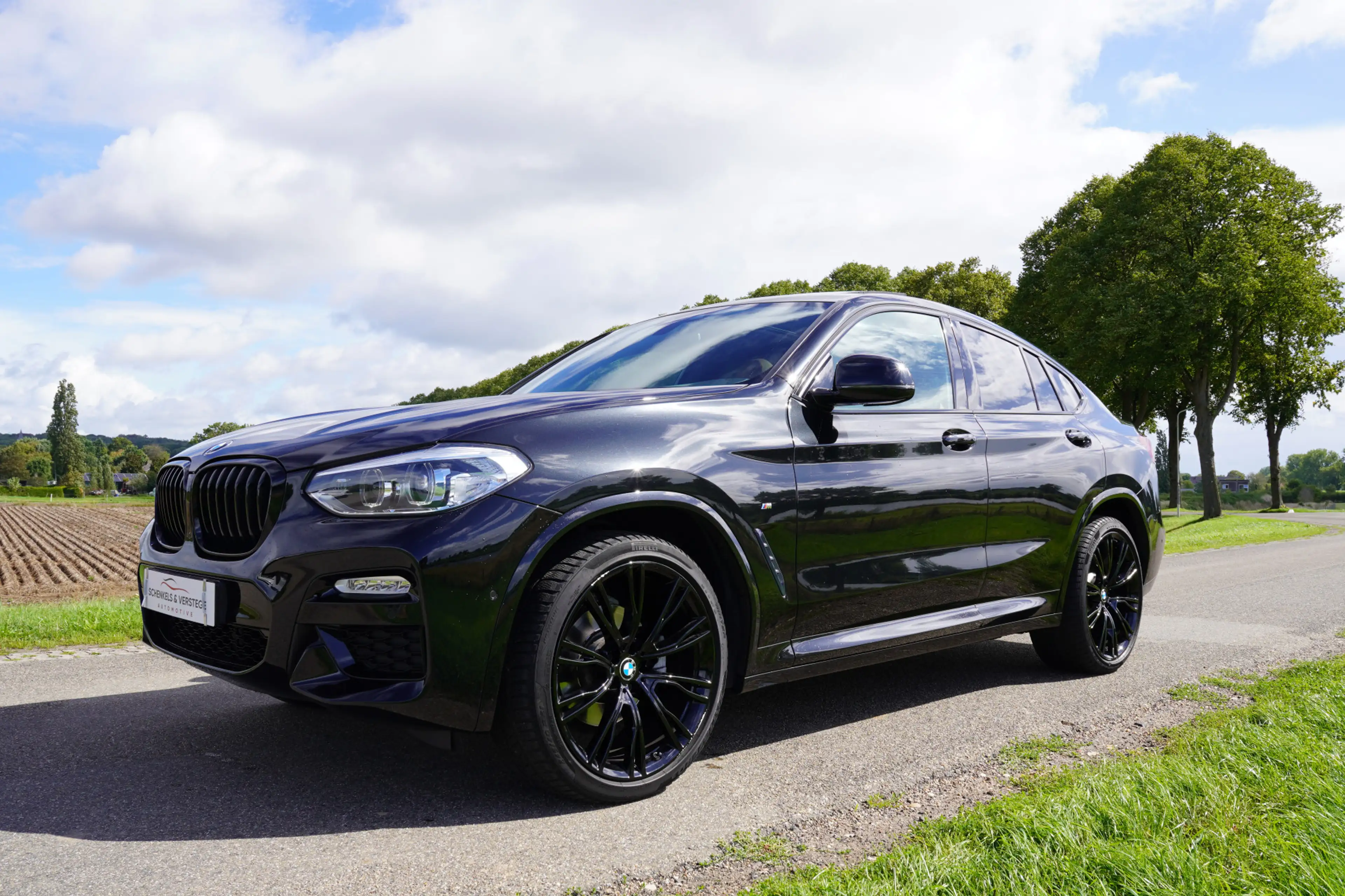BMW X4 xDrive20i High Executive M-Sport / BTW / Panoramad