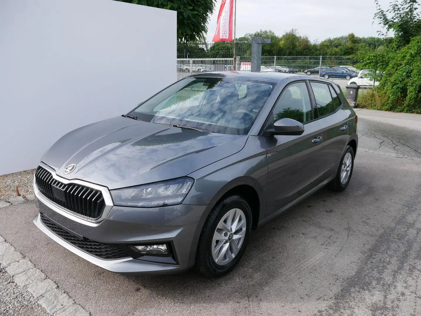Skoda Fabia 130 Jahre Selection Plus 1,0 TSI  DSG*SMARTLINK*PD Grau - 2
