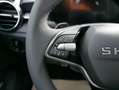Skoda Fabia 130 Jahre Selection Plus 1,0 TSI  DSG*SMARTLINK*PD Grau - thumbnail 13