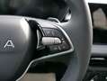 Skoda Fabia 130 Jahre Selection Plus 1,0 TSI  DSG*SMARTLINK*PD Grau - thumbnail 14