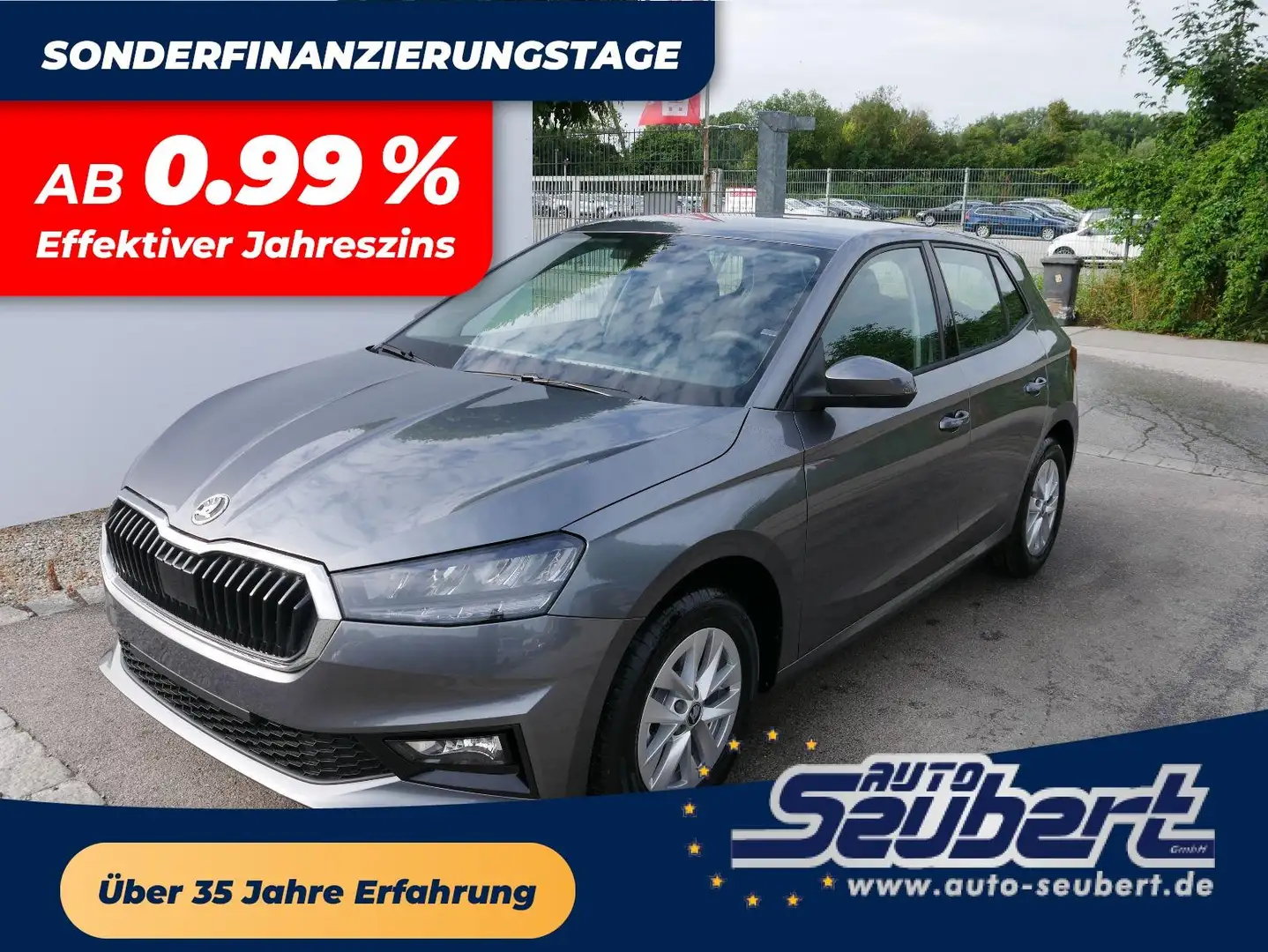 Skoda Fabia 130 Jahre Selection Plus 1,0 TSI  DSG*SMARTLINK*PD Grau - 1