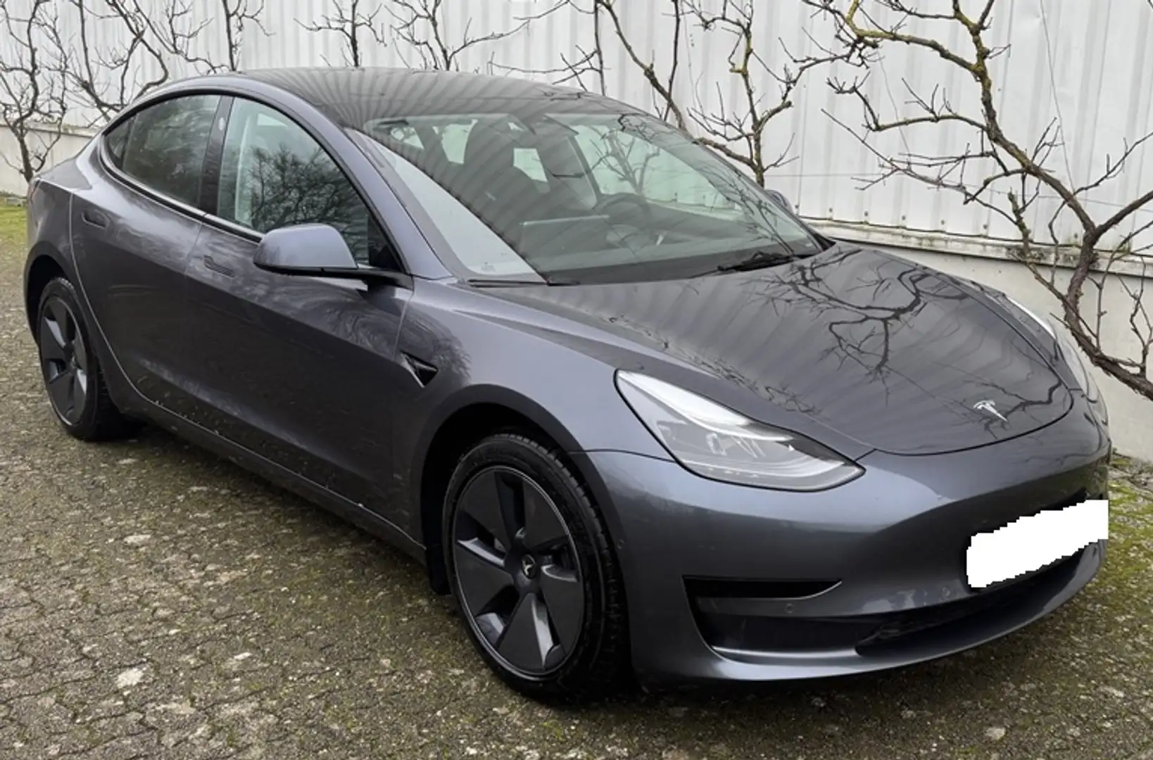 Tesla Model 3 Model 3 RWD*Autopilot*Panorama*Leder*360° Kamera*PDC*LED*Navi*5xSitzheizung Grau - 1