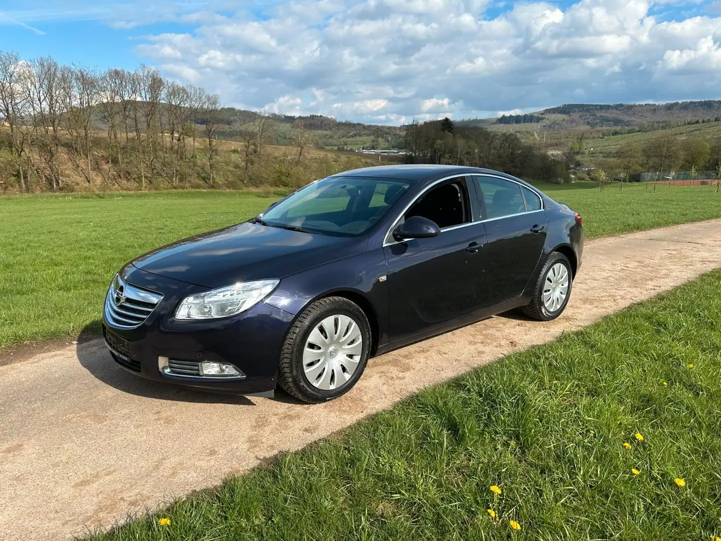 Opel Insignia A Lim. Edition Automatik 2.0CDTI Blau - 2