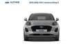 Ford Puma 1.0 ecoboost h Titanium 125cv Argento - thumbnail 7