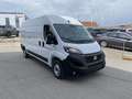 Fiat Ducato Ducato EASY PRO 35 L3H2 140 Weiß - thumbnail 2