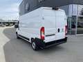 Fiat Ducato Ducato EASY PRO 35 L3H2 140 Weiß - thumbnail 5