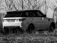 Land Rover Range Rover Sport Range Rover Sport II 2016 4.4 sdV8 HSE auto Bianco - thumbnail 4