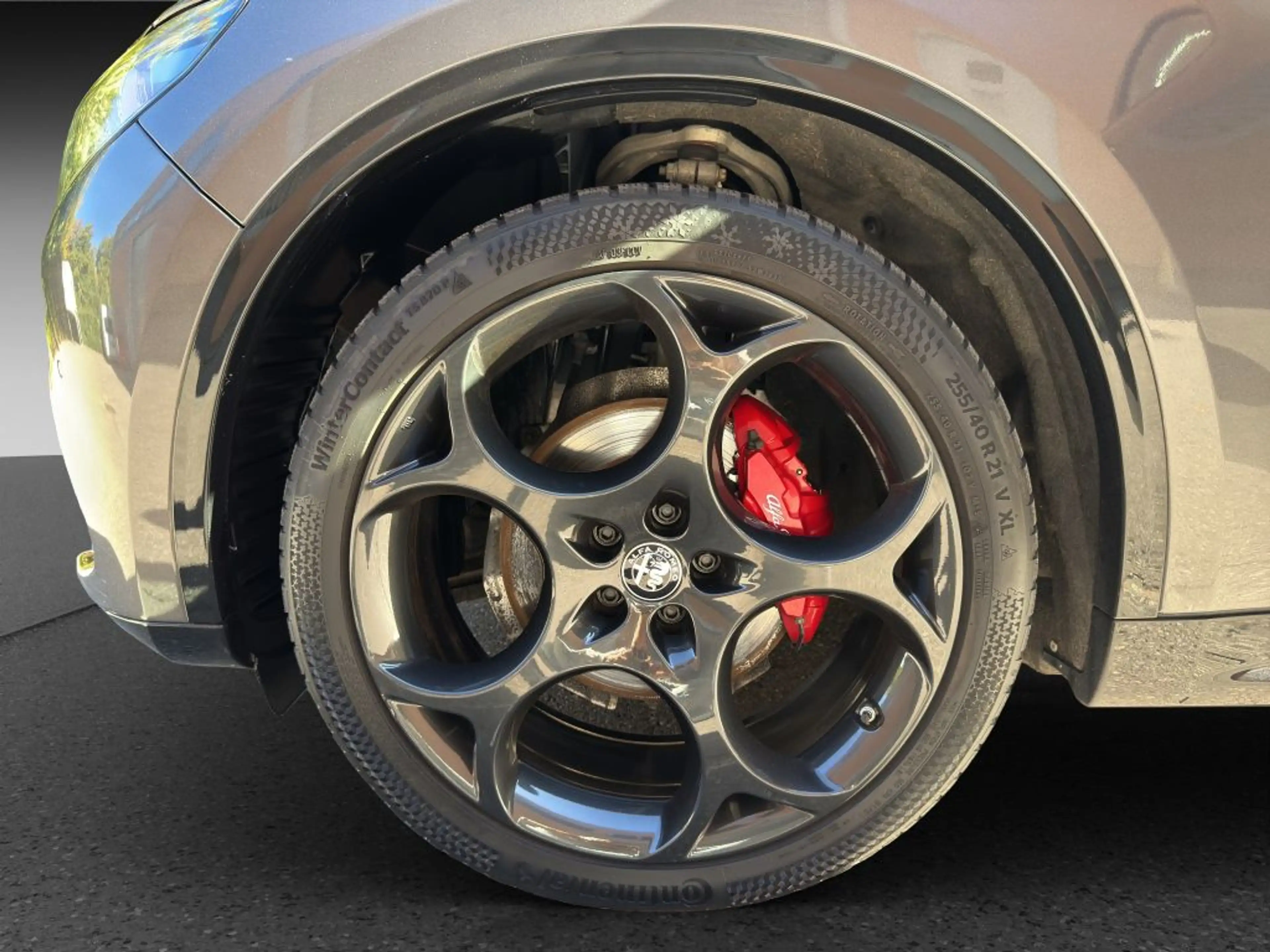 Alfa Romeo Stelvio STELVIO VELOCE FACELIFT PREMIUM ASSISTENZ AHK — photo 14