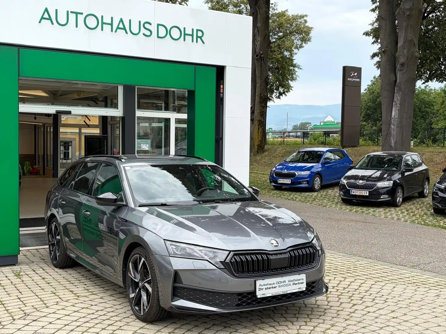 Skoda Octavia 2.0 TSI 150 kW 4x4 Sportline Grau - 2