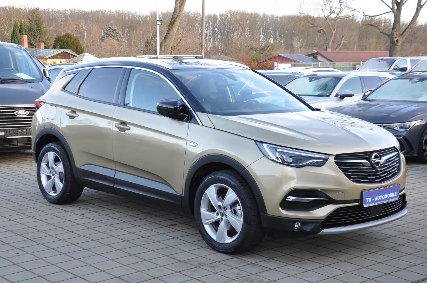 Opel Grandland X Innovation NAVI-360°CAM-LED-18"LM-TOTWINKEL Gold - 1