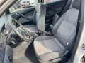 Skoda Octavia Ambiente Weiß - thumbnail 17