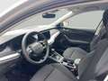 Skoda Octavia Essence TSI Grau - thumbnail 18