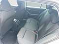 Skoda Octavia Essence TSI Grau - thumbnail 5