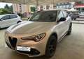 Alfa Romeo Stelvio 2.2 T.D 210CV AT8 Q4 B-TECH TETTO APRIBILE KMCERT Argento - thumbnail 1