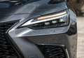 Lexus NX 350h Business City 4WD - thumbnail 26